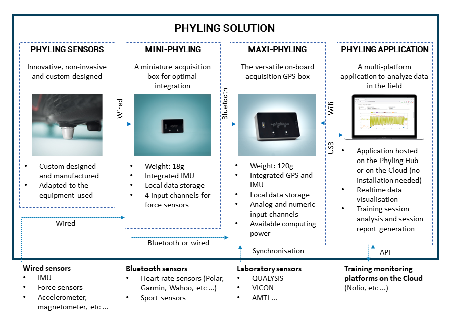 Phyling solution
