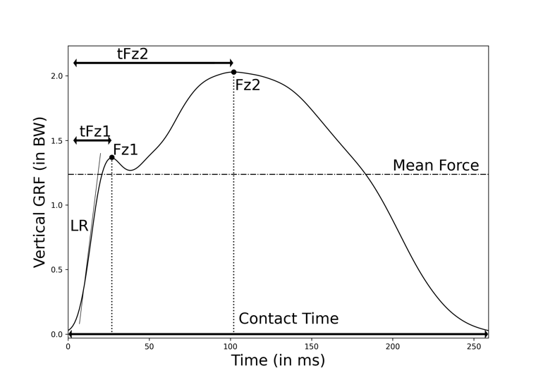Parameters extracted from the vertical force curve during a running step